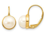 White Freshwater Cultured Pearl (6-7mm) Leverback Earrings in 14K Yellow Gold