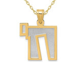 Chai Charm Pendant Necklace in 14K Yellow and White Satin Gold with Chain