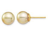 14K Yellow Gold Saltwater Cultured South Sea Pearl 9-10mm Solitaire Stud Earrings