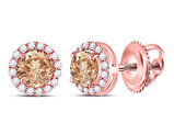9/10 Carat (ctw I2-I3) Champagne and White Halo Diamond Post Earrings in 14K Rose Pink Gold