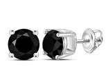 4.00 Carat (ctw) Enhanced Black Diamond Solitaire Earrings in 10K White Gold
