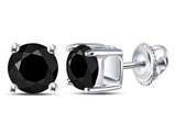 2.00 Carat (ctw) Enhanced Black Diamond Solitaire Earrings in 10K White Gold