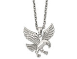 Stainless Steel Eagle Charm with 24 Inch Chain 