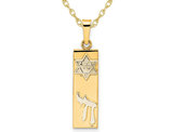 14K Yellow Gold Mezuzah with CHAI and Star of David Pendant with Chain