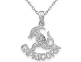 14K White Gold CAPRICORN Zodiac Charm Astrology Zodiac Pendant Necklace with Chain
