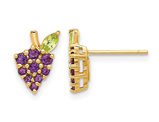 3/5 Carat (ctw) Amethyst Grape Post Earrings in 14K Yellow Gold
