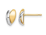 14K Yellow Gold Satin Leaf Post Earrings