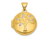 14K Yellow Gold Tree of Life Locket Pendant (NO CHAIN)