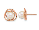 South Sea Saltwater Cultured Pearl (6-7mm) Earrings in 14K Rose Gold
