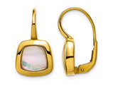 Mother of Pearl Leverback Earrings in 14K Yellow Gold