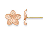 14K Rose Gold Flower Plumeria Post Earrings