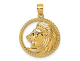 14K Yellow Gold Polished Lion with Mane Charm Pendant (NO CHAIN)