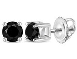 1/2 Carat (ctw I2-I3) Solitaire Stud Enhanced Black Diamond Earrings in 10K White Gold